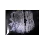 C189 Black gelatin palm print lifter