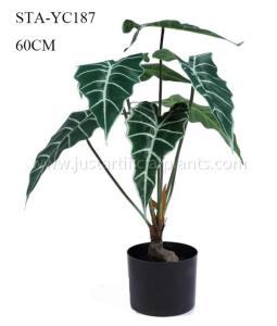 Quality Faux Italian Arum Artificial House Plants Vibrant Green Leaves Eco - Friendly wholesale