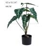 Buy cheap Faux Italian Arum Artificial House Plants Vibrant Green Leaves Eco - Friendly from wholesalers