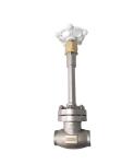 Stainless Steel 304 CF8 DN20 Low Temperature Globe Valve