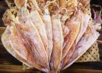 Healthy Semi Dried Squid , Todarodes Pacificus Dried Squid 18% - 20% Moisture