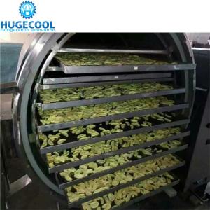 Quality Automatic Control Vacuum Freeze Drying Machine , Freeze Dried Food Dryer wholesale