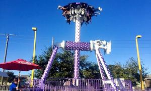 Quality Crazy Amusement 12 Seat 360 Dance Party Degree Pendulum Rides wholesale