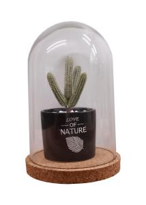 Quality ODM Dampproof Mini Glass Bottle Corks Glass Base Dome 2.5*2.2IN Groove Line wholesale