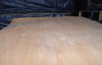 Rotary Cut Natural Okoume Veneer Yellow For Furniture