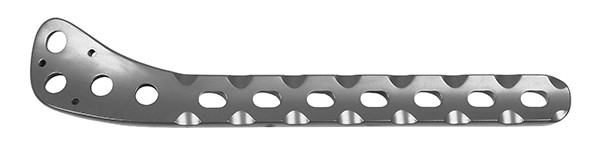 Plate and Screw Tibial Platform Medial Plates I (L/R) Lower limbs Titanium Implant