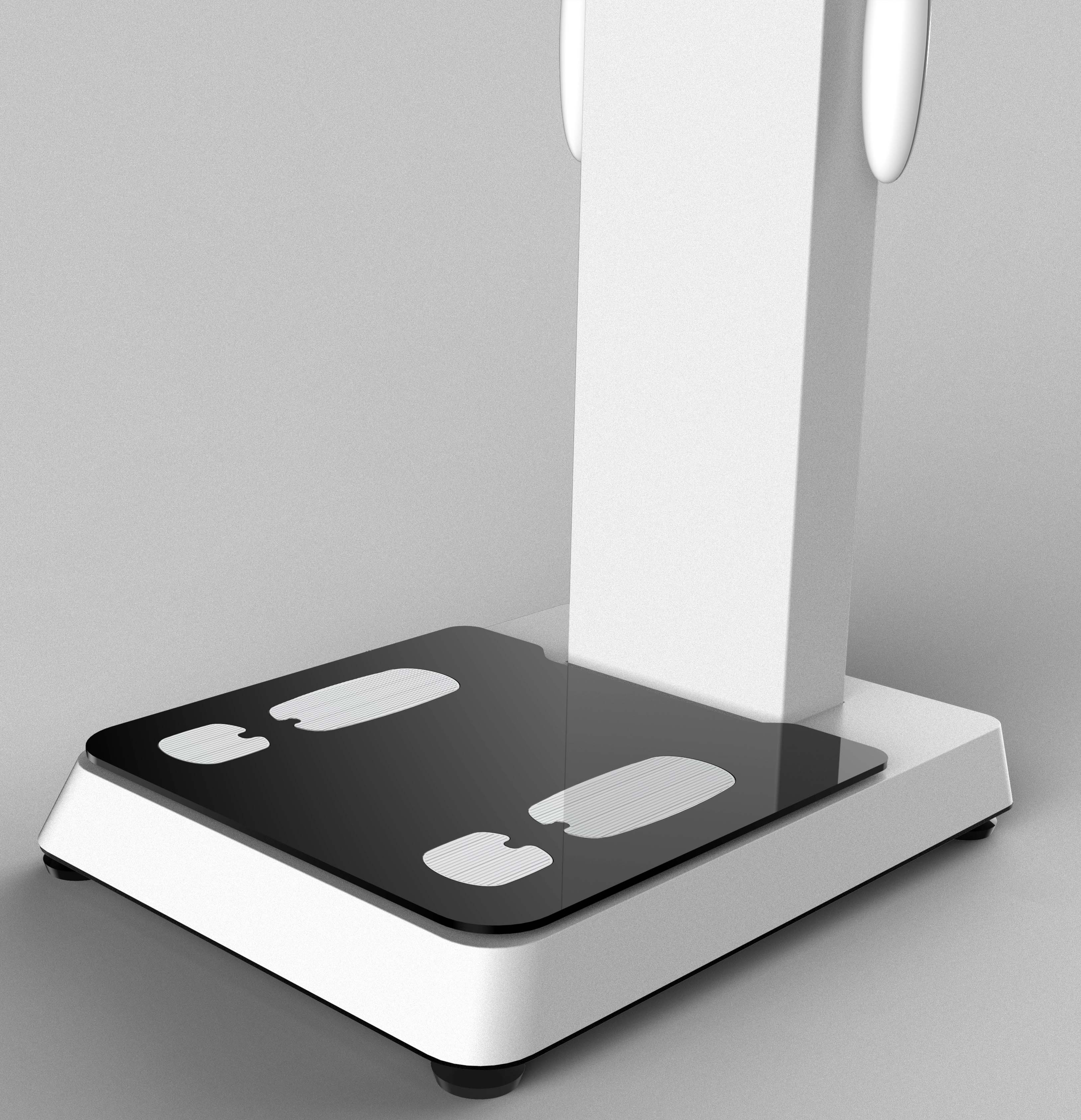 body fat composition analyzer scale
