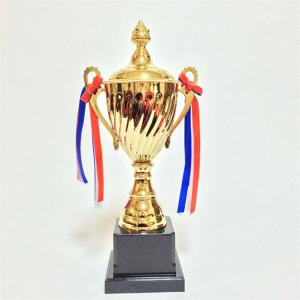 Quality Metal Trophies Triathlon Accessories wholesale
