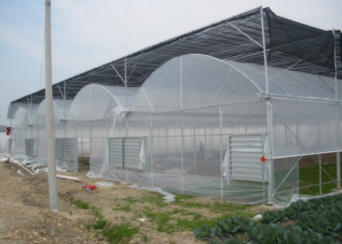 Multi Span Film Greenhouse Structure Commercial Frames Large Plants Growing