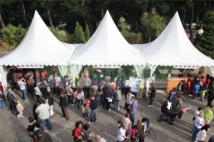 Quality Fast Set Up Pagoda Party Tent High Peak Shape Aluminium Structure Stable wholesale