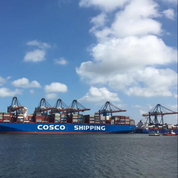 20GP/40GP/40HQ/40RH/45HQ Container International Shipping Service FCL LCL