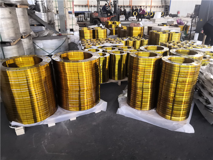 Hot Forging Steel FLANGE BS 4504 BS10 PN6 PN10 PN16 PN25 PN40 SORF Plate Blind