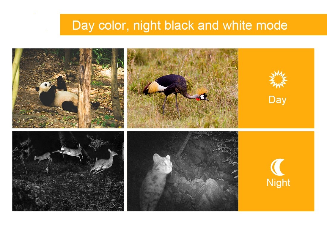 Ip65 Wifi Night Vision Game Camera 1080p Wildlife Hunting