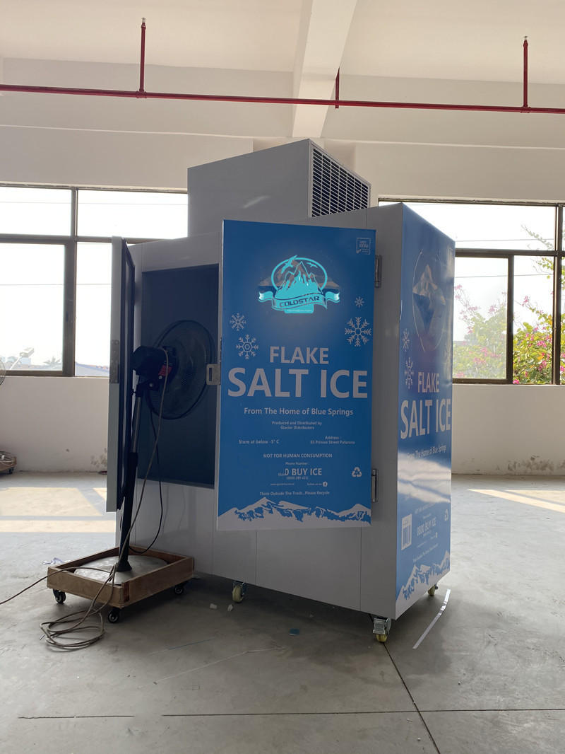 Gas Station Outdoor Dry Ice Bag Storage Freezer