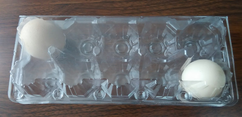 Clear transparent plastic tray for eggs