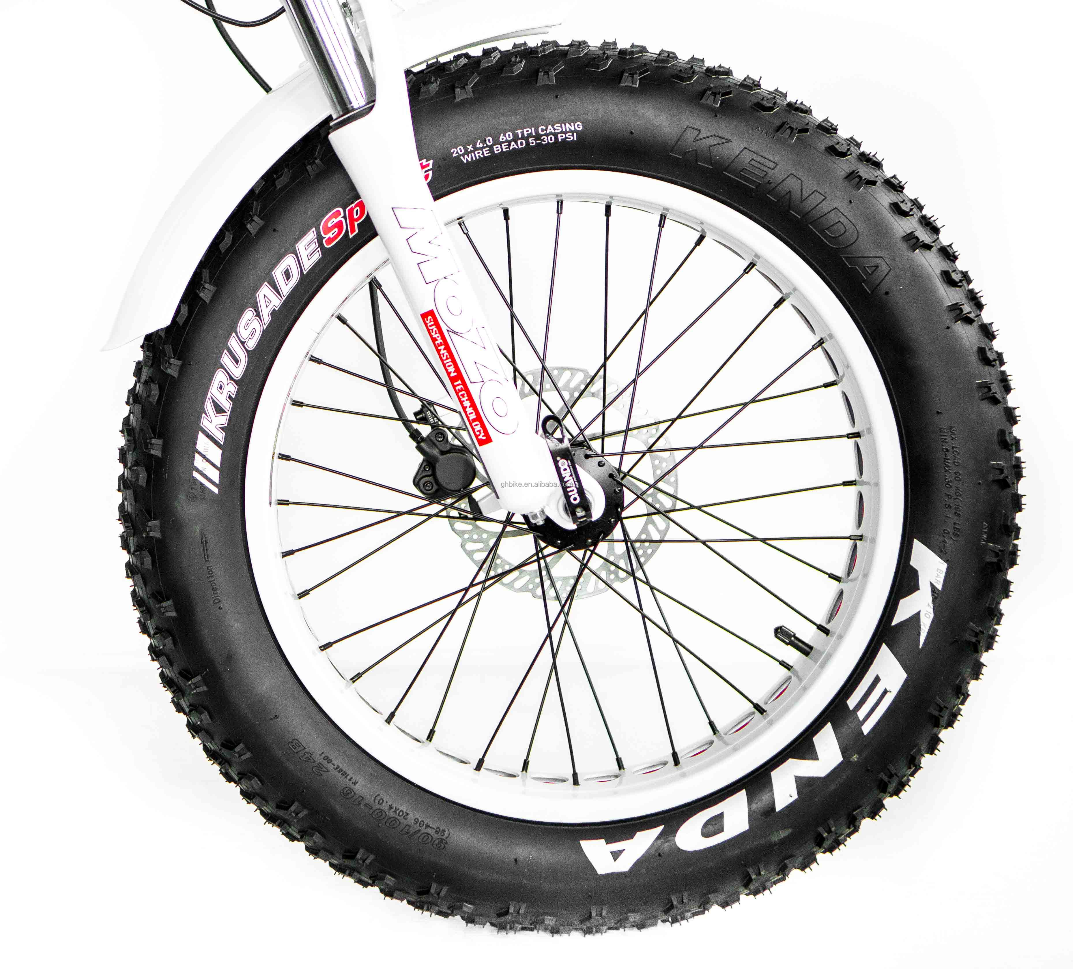 20" Full Suspension Electric Snow Bike with 48V 21AH Battery and 1000W Bafang Rear Motor