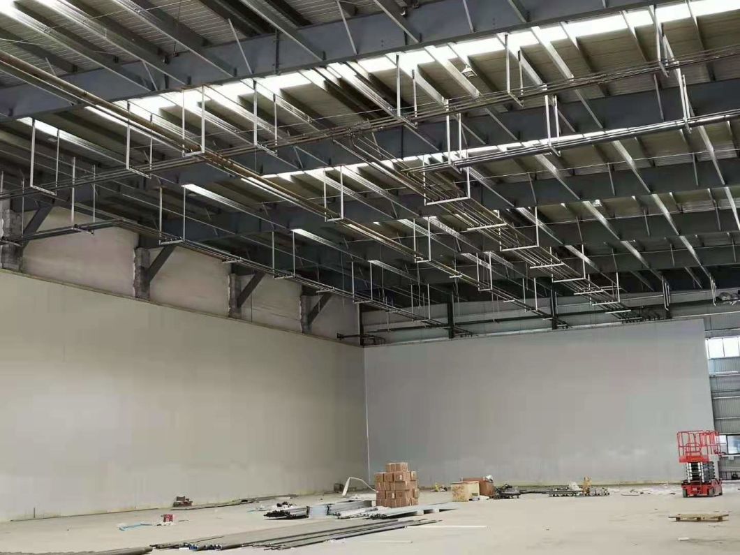 Meat Cold Room for Storage of Chicken Fishes Meat Frozen Food
