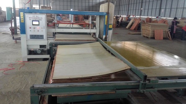 Wood Grain 12mm E1 Glue Melamine Faced Plywood