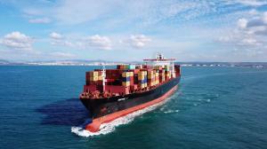 Quality Matson Sea Freight Shipping DDP Door To Door Shipping Agent wholesale