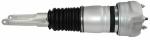 97034305135 Air Suspension Parts Air Suspension Strut
