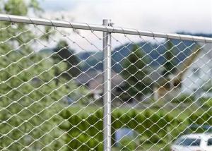 Quality 316 Ferrule Zoo Wire Mesh Aviary Bird Parrot Netting Mesh wholesale