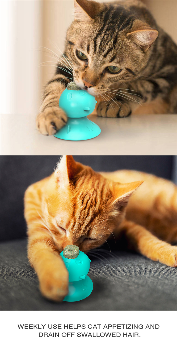 Hot Selling Custom Pet Chew Toys Cat Toys Teeth Cleaning Multifunction Catnip Toys
