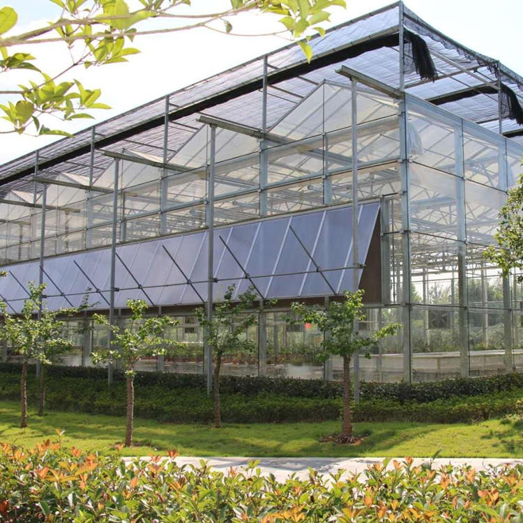 Hydroponic Agriculture Glass Greenhouse with Top Ventilation Side Ventilation System