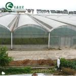 PO Single Layer Greenhouse for Agriculture Boost Agricultural Production