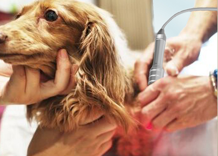 CE Veterinary Laser Therapy Machine Painless Class Four 810nm