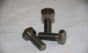 Quality Din 933 High Tensile Steel Bolts Hex Head Stainless Steel Sheet Metal Screws wholesale