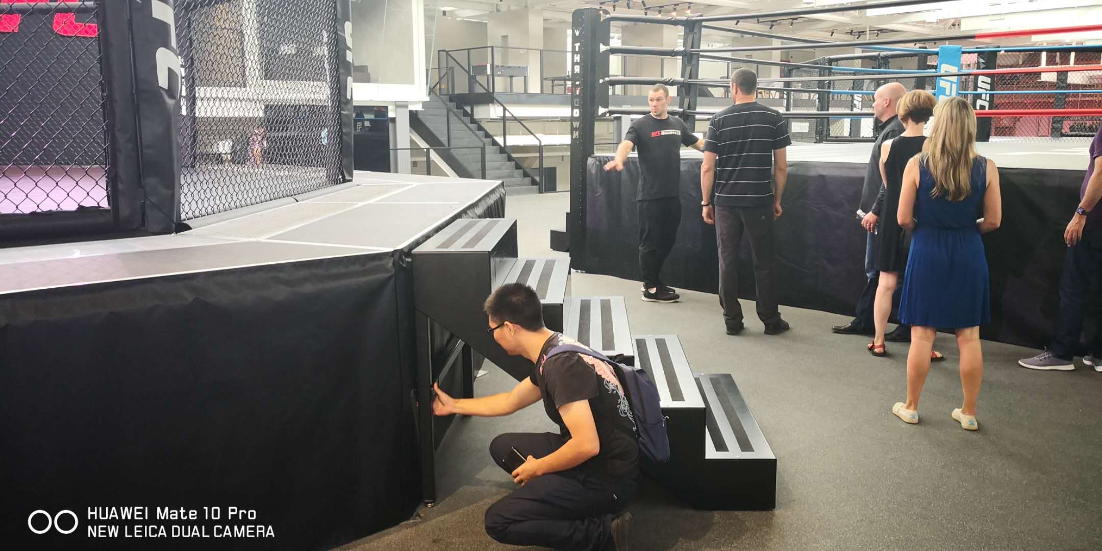 25Ft 10*10M Octagon MMA Ring Heavy Gauge Structural Steel MMA Fighting Cage