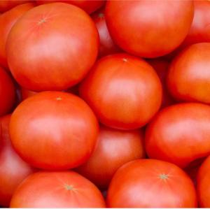 Quality 500kgs Per Hour Tomato Paste Processing Line Stainless Steel wholesale