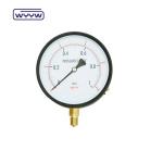 Large Dial Economy Pressure Gauge Manometer 150mm Dial OEM