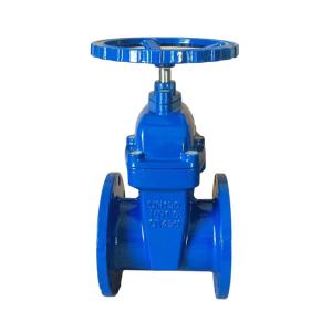 China Non Rising Stem Soft Sealing Gate Valve 4inch For Customized Drainage Solutions on sale