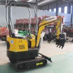 EURO 5 One Ton Mini Excavator CE Small Excavation Equipment Tailless Slewing