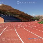 Budget-Friendly Semi-Prefabricated Athletic Rubber Running Track Rubber Track