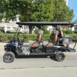 Sightseeing 6 Seat Lectric Lifted Golf Cart Free Shipping 4 Wheel Drive 4 Seat