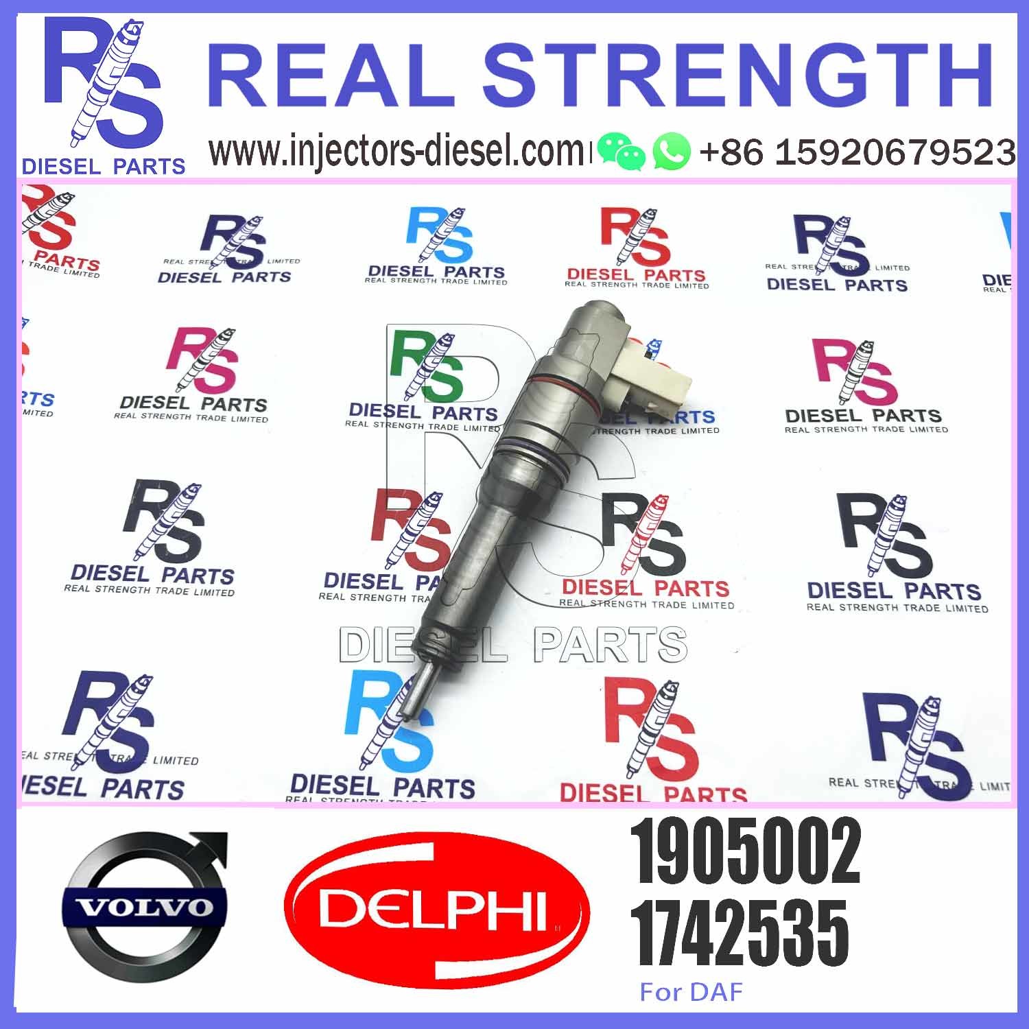 Fuel Injector Assembly BEBJ1A05002 BEBJ1A00202 BEBJ1A05001 1905001 1846419 1905002