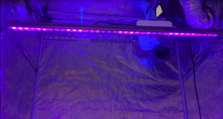 12% photosynthesis UVBar120 395nm 80W UV LED Grow Bar
