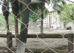 Quality Diamond Animal Wire Mesh Stainless Steel With Polishing Surface Treatment wholesale