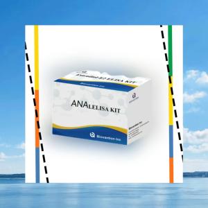 Quality Anti ANA IgG ELISA Test Kit Anti Nuclear IgG Antibody Qualitative Detection wholesale