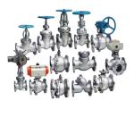 Stainless Steel 304 Butterfly Valve with Blue Trigger Handle and Tri Clamp