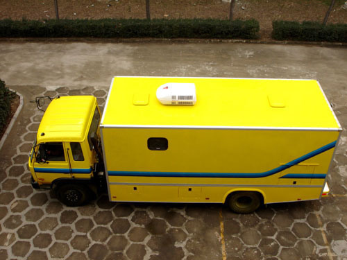 Professional Van/Cargo Box/Truck Body for Sale
