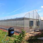 150 200 Micron Commercial Sustainable Greenhouse Farming Modern With 1*2m Door