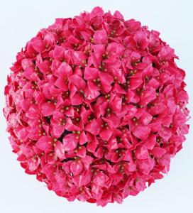 Quality UV Protected PE Faux Boxwood Topiary Balls 17 Inch wholesale