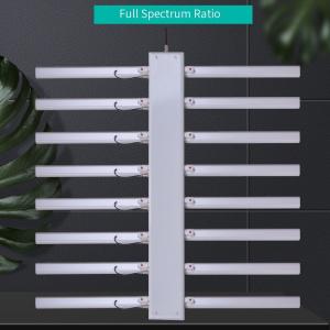 Quality Samsumg Osram LED Brand Full Spectrum White Led Grow Light Small Scale wholesale