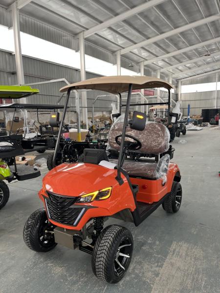 4kw Motor Golf Cart With Ball Washer And Sand Bottle For 2 Golf Courses Equipped