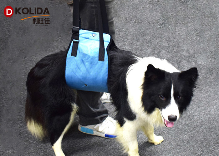 Blue / Orange Nylon Dog Harness / Dog Aid Lift Support Harness With Handle Sling