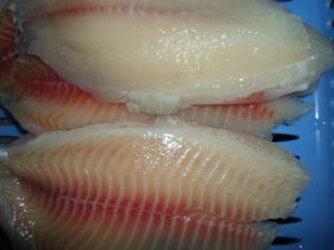 Quality Healthy Pure Fresh Boneless Frozen Tilapia Fish , Frozen Tilapia Fillets wholesale