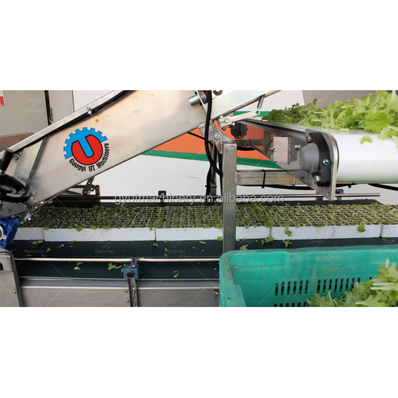 Video Technical Support Tray Harvester Machines for Baby Leaf Microgreen Growing 110 KG